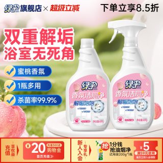 绿伞 香氛洁厕净 除垢洁厕灵 600g*2瓶 带喷头
