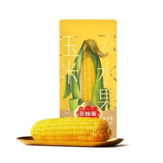 三胖蛋 7A甜糯玉米 水果玉米228g*1穗