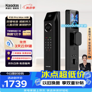 凯迪仕 P30 Pro Max 3D人脸识别 双摄版 智能门锁