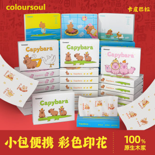coloursoul 可爱印花卡皮巴拉抽纸大白鸭便携纸巾干湿两用随身携带面巾纸