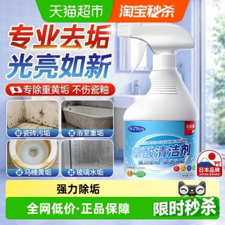 88VIP：草酸清洁剂 2瓶 实惠装 强力去污