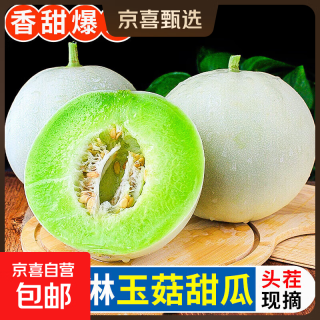 京东 玉菇甜瓜冰淇淋现摘新鲜水果整箱当季水果香瓜冰淇淋（多仓发货）  5斤(净重4.7斤)