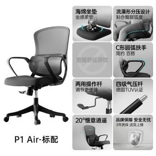 移动端：黑白调 P1 Air人体工学椅电脑椅子办公椅电竞椅久坐人工力学座椅 有颈枕 霜白