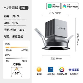 Yeelight LED智能筒射灯天花吊顶客厅嵌入过道洗墙防眩 已接入米家APP M4青春版-智能筒灯-10W-Ra95