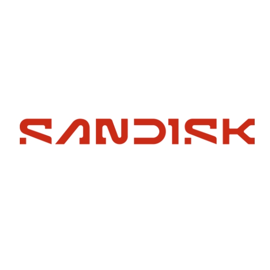 闪迪 Sandisk