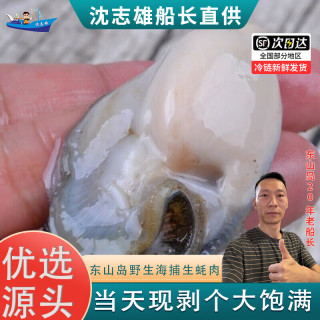沈志雄 东山岛澳角渔村海鲜生蚝纯肉鲜甜当天现剥生蚝肉海蛎肉牡蛎肉 2斤小生蚝肉