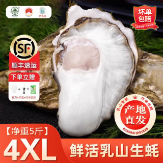 百鲜洽 乳山生蚝鲜活特大牡蛎带壳生吃海蛎子新鲜海鲜水产贝类聚会烧烤 4XL带箱5斤(约10-13只)