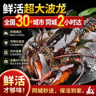 喵和渔 加拿大波士顿龙虾 500-550g/2只 生鲜