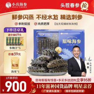 小兵海参 原味海参 新鲜辽刺参即食海参海鲜水产滋补送父母长辈 原味海参1斤(31-35只)