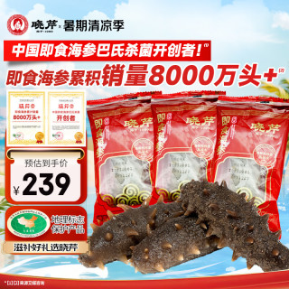 晓芹 大连冷冻即食海参300g 7-10只 辽刺参 海鲜水产