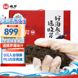 晓芹 大连冷冻即食海参 1000g 6-12只