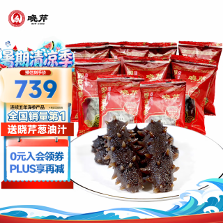 晓芹 大连冷冻即食辽刺参 1500g 27-45只