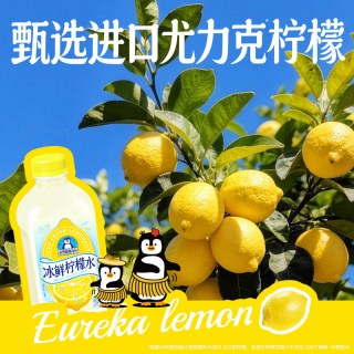 88VIP：元气森林 Genki Forest 元气森林 本榨冰鲜柠檬水 900mL*12瓶