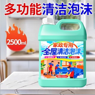 丽能 YTT-清洁剂 多功能清洁泡沫 2500ml 5斤装
