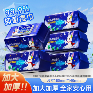 天府韵 抑菌湿巾 80片*1包