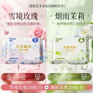 德佑 香氛系列湿厕纸 20片*2包