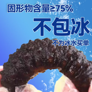 亿鲜笙 鲜蒸即食海参鲜活加工端午礼盒大连辽刺参中老年滋补高营养海参 13-20只/斤 2斤装