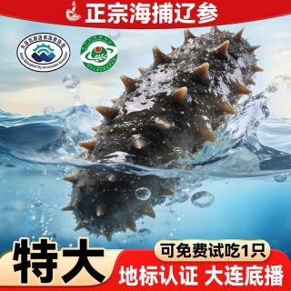 亿鲜笙 大连辽刺参 4-8只/斤 2斤装