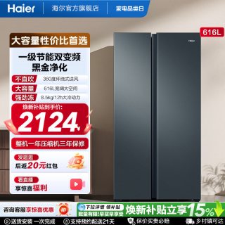 海尔 盛宴系列 BCD-616WGHSSEDC9 风冷对开门冰箱 616L 烟青色