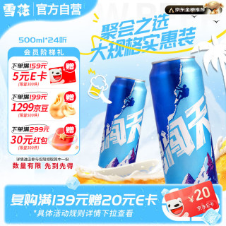 雪花 BEER 雪花 SNOWBEER BEER BEER 勇闯天涯 啤酒 500ml*24听