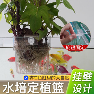 鱼缸水草种植杯鱼缸造景装饰旋钮壁挂式XL