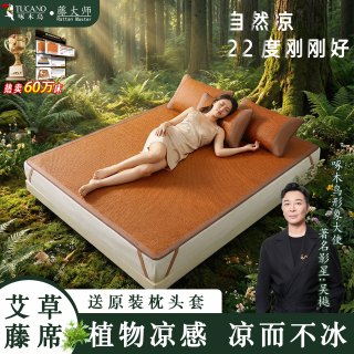 啄木鸟 冰藤席艾草凉席加厚新款冰丝席双面睡双人可折叠