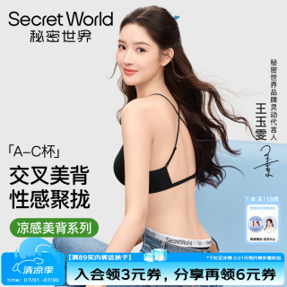 SecretWorld 秘密世界（SecretWorld）粉底液美背内衣女小胸聚拢无痕隐形大U型露背交叉夏季细肩带文胸