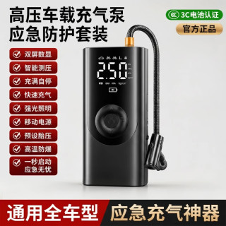 戴升 车载无线充气泵 便携式电动打气筒 带测胎压