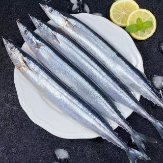 野生海捕 新鲜秋刀鱼5斤