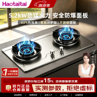 Haotaitai 燃气灶双灶台煤气灶液化气灶具灶台猛火家用十大燃气灶品牌上门安装一级能效 猛火5.2kw+无极调火