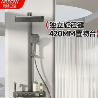 箭牌 AE34188MZGGW-P2 淋浴花洒套装 军绿色