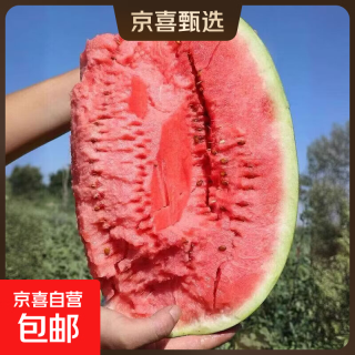 正宗宁夏中卫硒砂瓜头茬新鲜石缝大西瓜压砂石头西瓜产地新鲜水果 净重14-16斤