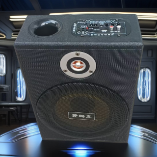 6寸8寸大功率超薄蓝牙低音炮车载重低音炮音箱12V24V插卡音响电脑