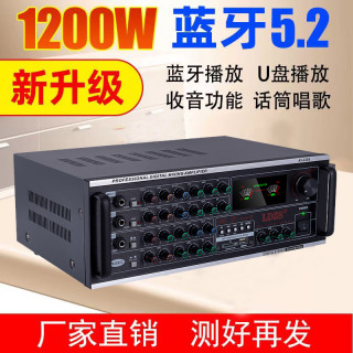 LDZS 多功能大功率功放机蓝牙无线专业重低音立体家用发烧播放无损AV