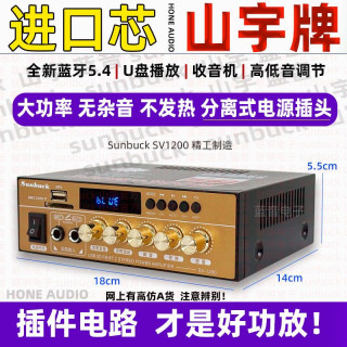 全新220V大功率功放机蓝牙5.4家用HIFI无损12V插卡U盘音响功放机