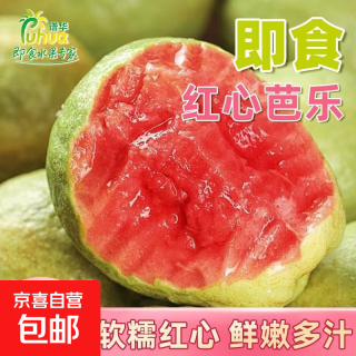 京东 广东即食冰淇淋奶油芭乐双拼红心白心当季番石榴 双拼红白芭乐3斤装