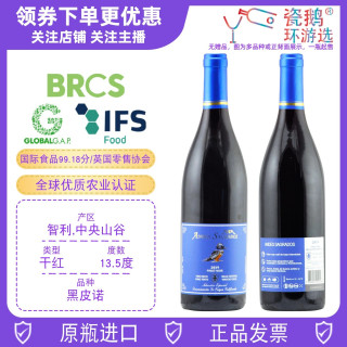 安第斯神黑皮诺干红葡萄酒ANDES SAGRADOS智利原瓶瓷鹅Pinot Noir
