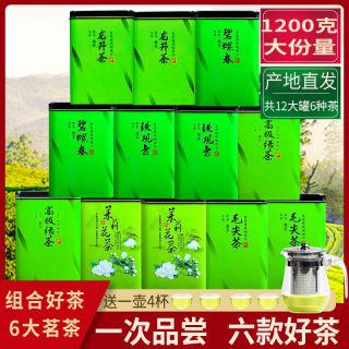 6大茗茶组合12罐共1200铁观音绿茶茉莉花茶毛尖茶龙井茶碧螺春茶