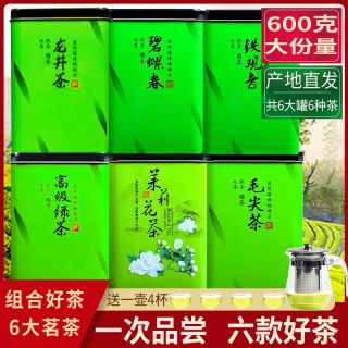 6大茗茶组合6罐装共600g铁观音绿茶茉莉花茶毛尖茶龙井茶碧螺春茶