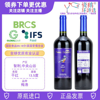 安第斯神梅洛干红葡萄酒ANDES SAGRADOS中央山谷进口智利红酒正品