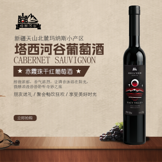 塔西河谷 新疆天山北麓玛纳斯小产区塔西河谷赤霞珠干红葡萄酒375ml送礼