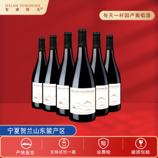 宁夏贺兰山东麓产区半甜红葡萄酒 750ml*6瓶红酒赤霞珠