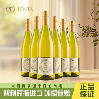 TENPA TENTA）智利中央山谷原瓶13度霞多丽干白葡萄酒750ml*6瓶整箱装 霞多丽两支装