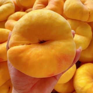 樱鲜 特大果 山东蒙阴 黄金蟠桃 2.5斤装 4-7个