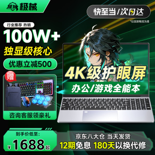 极械 X16 4060独显 笔记本电脑+指纹锁  奔腾 6500Y 1920*1080 RTX 4060 512GB 60Hz 16GB