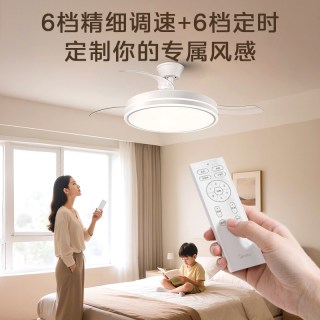美的 FY2 静音 吊扇灯