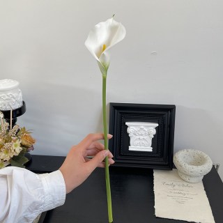 花溪树梦 大号马蹄莲 仿真花 单枝 白色