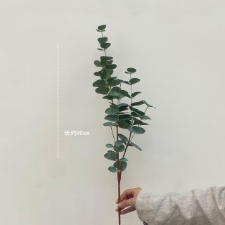 尤加利叶仿真花假花干花家居装饰摆件客厅餐桌花艺插花束拍摄道具
