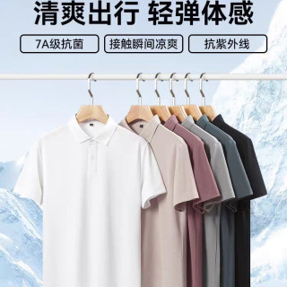 鸭鸭羽绒服 时尚简约 男士Polo衫