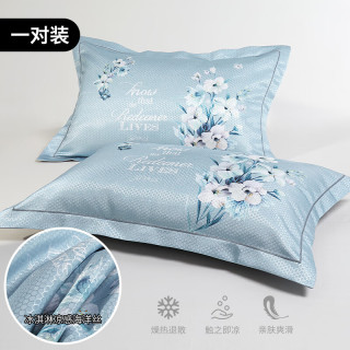 凉感枕头套家用夏季夏天凉席枕席大人可机洗 触肤即凉，透气爽肤 一对 48cm*74cm 枕套